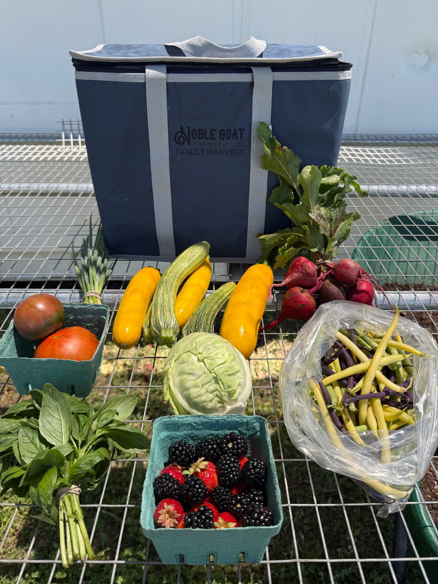 Assorted fresh vegetables and a notebook on a metal surface