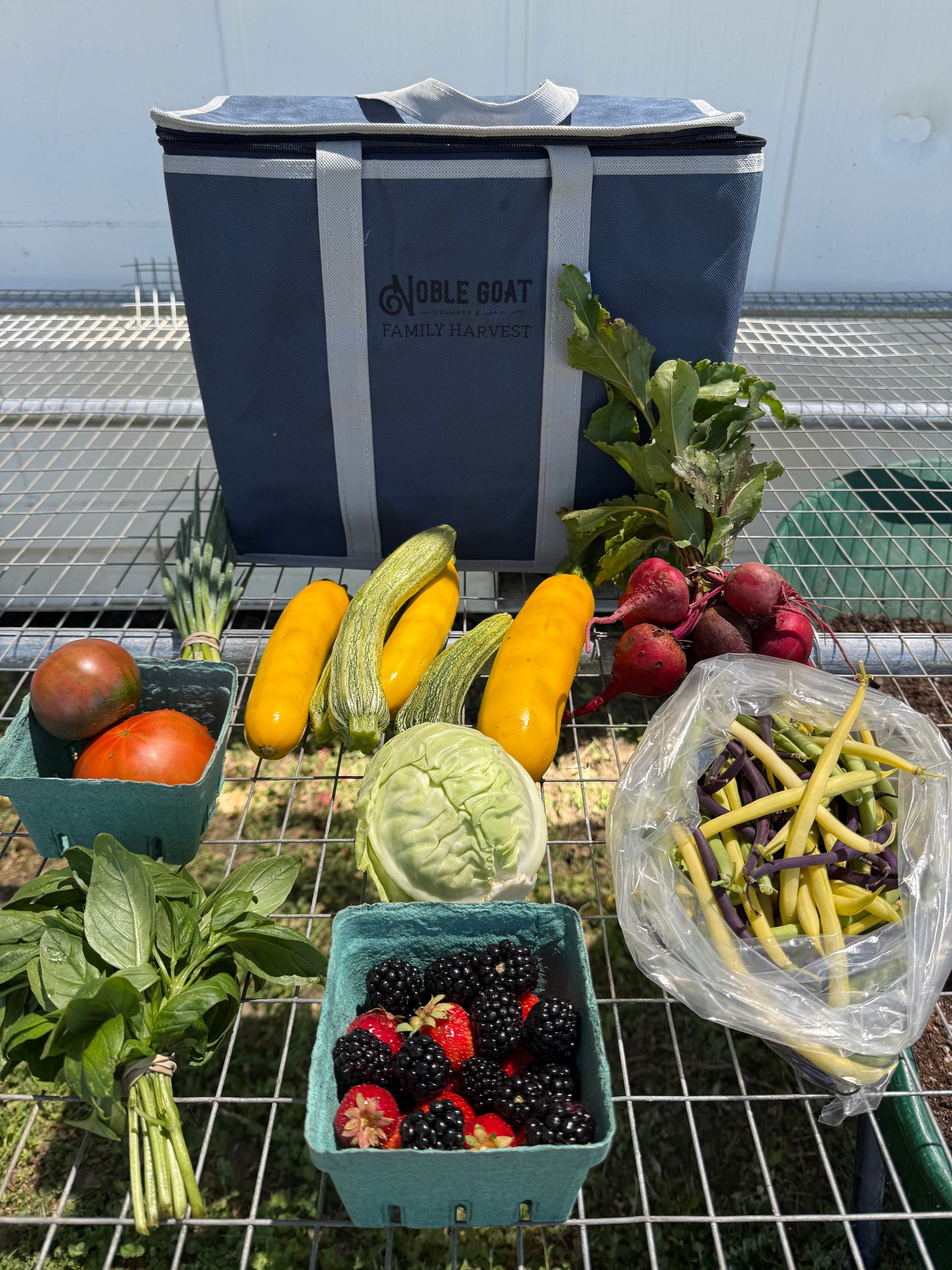 Assorted fresh vegetables and a notebook on a metal surface