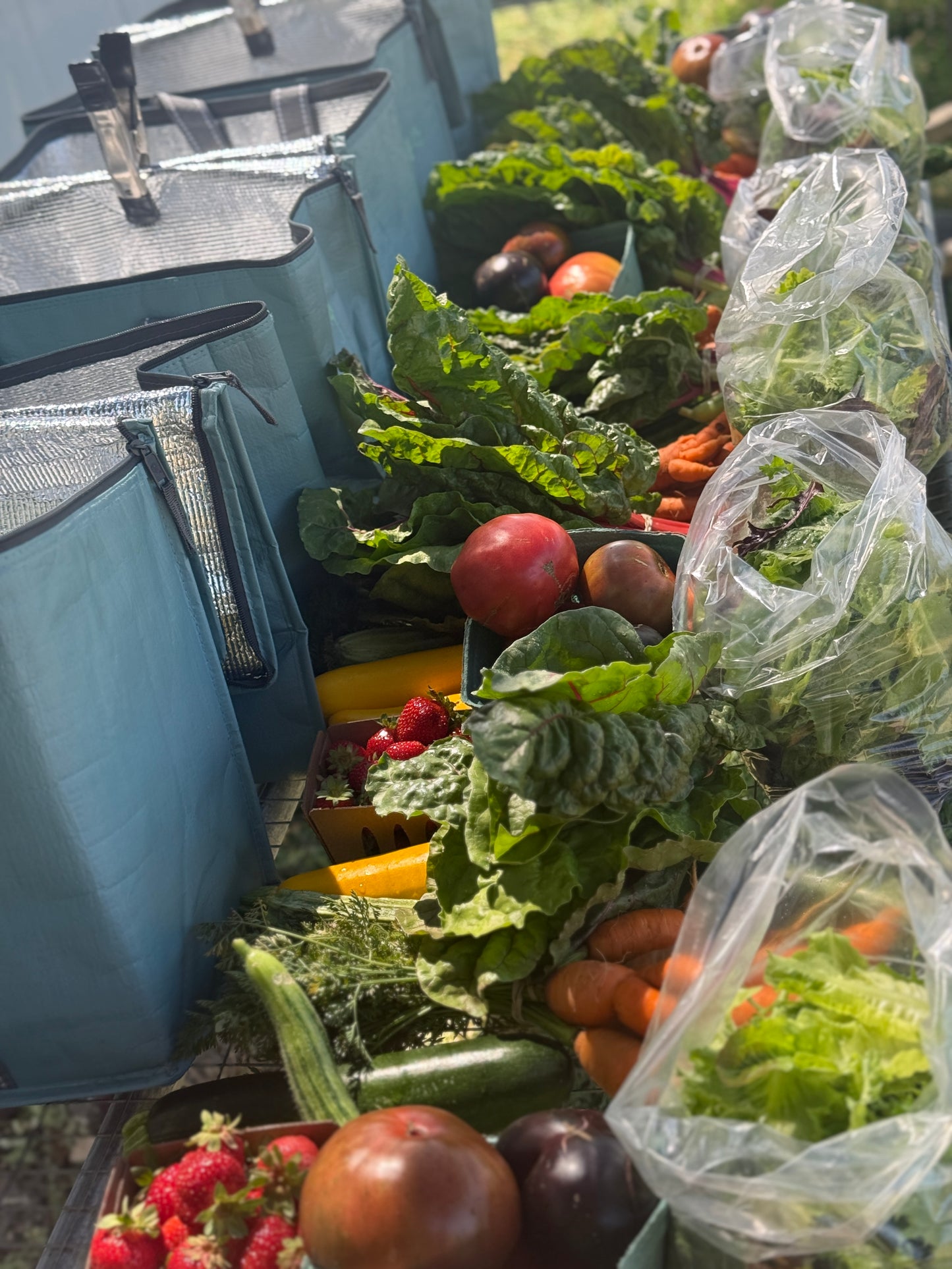 Noble Goat CSA