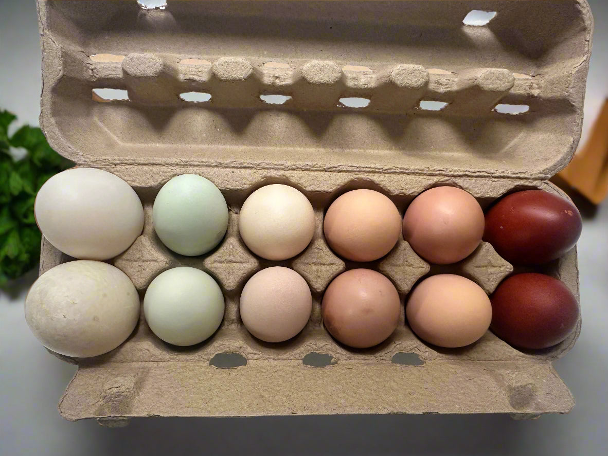 One Dozen Eggs