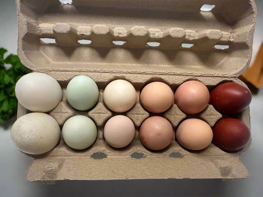 One Dozen Eggs